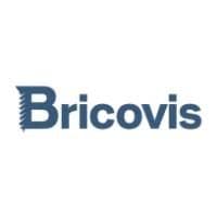 Logo Bricovis