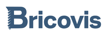 Logo Bricovis